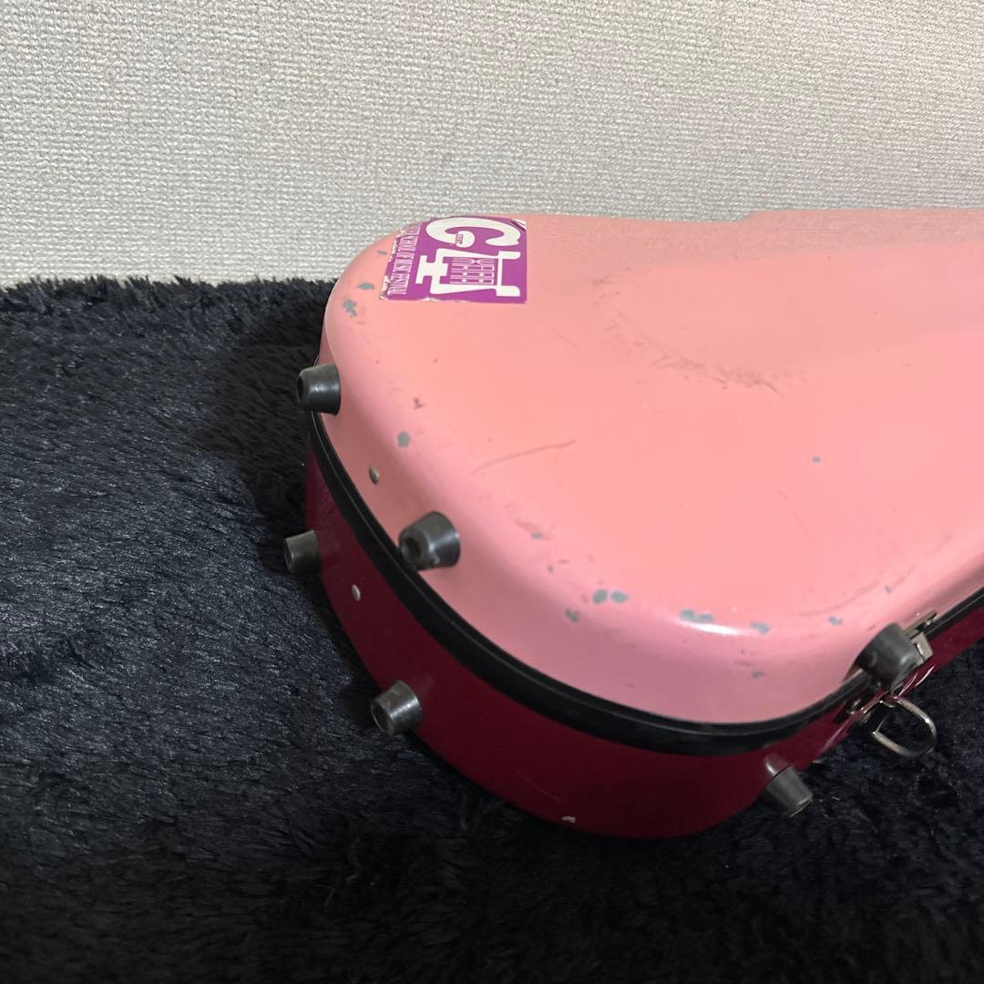 レア! J.W.Eastman バイオリンケース ハードケース バイカラー