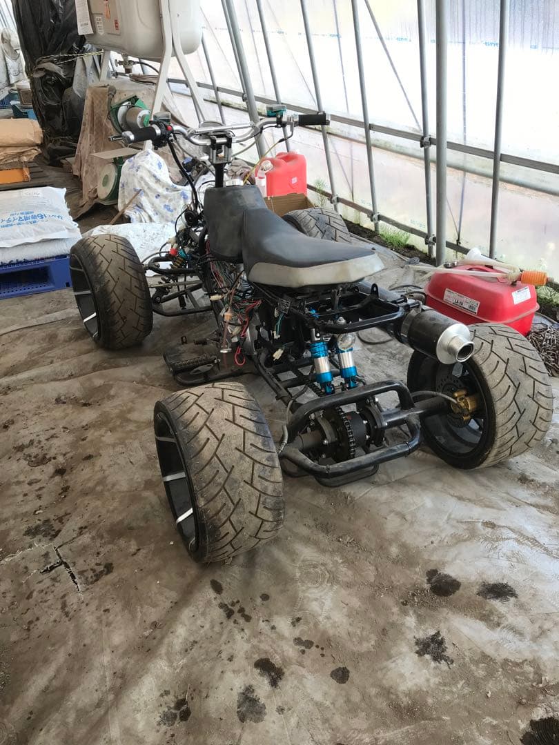 バギー　引き取り希望のみ