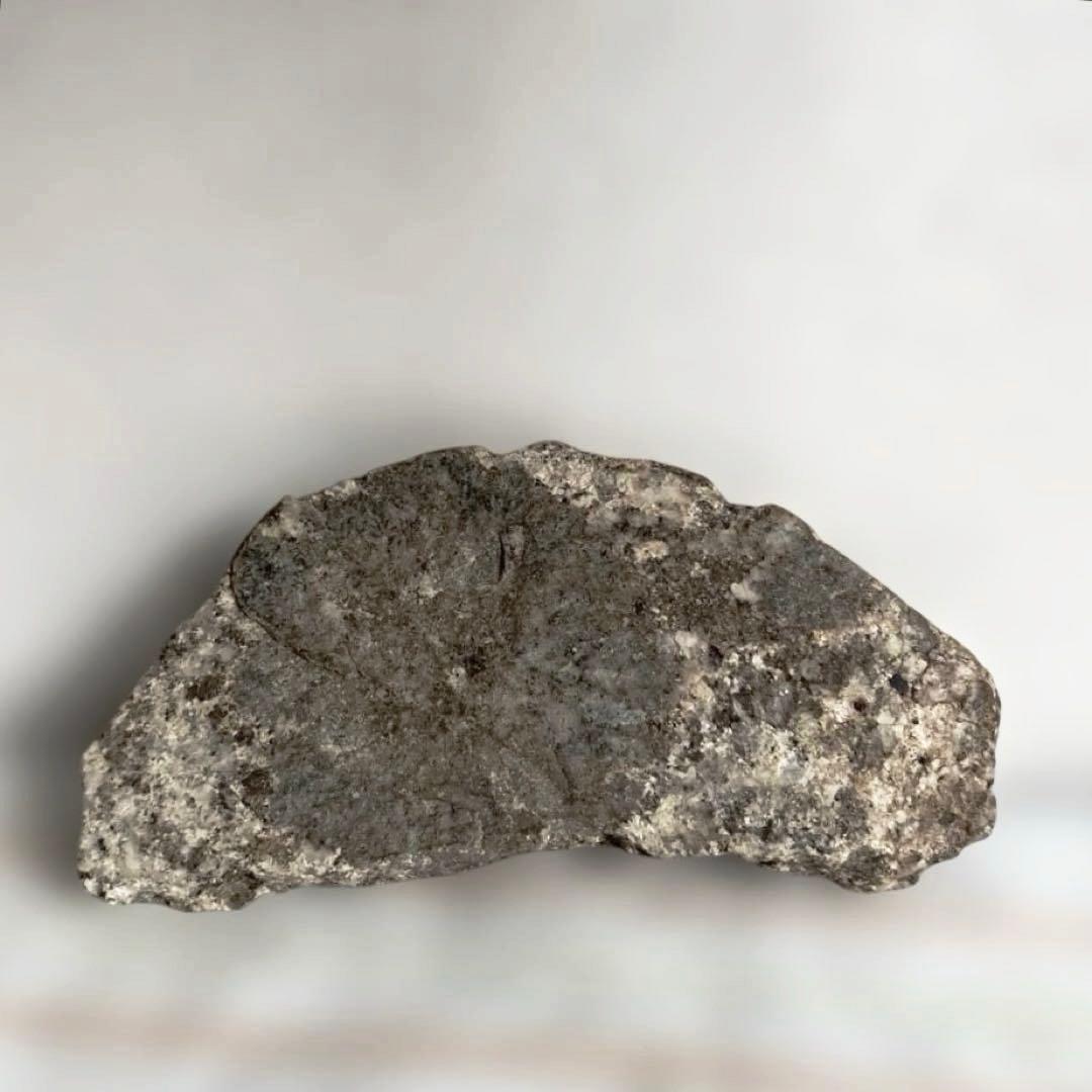 【極希少】猿投山の菊花石　約203g 天然記念物　水石　鑑賞石　菊石　鉱物