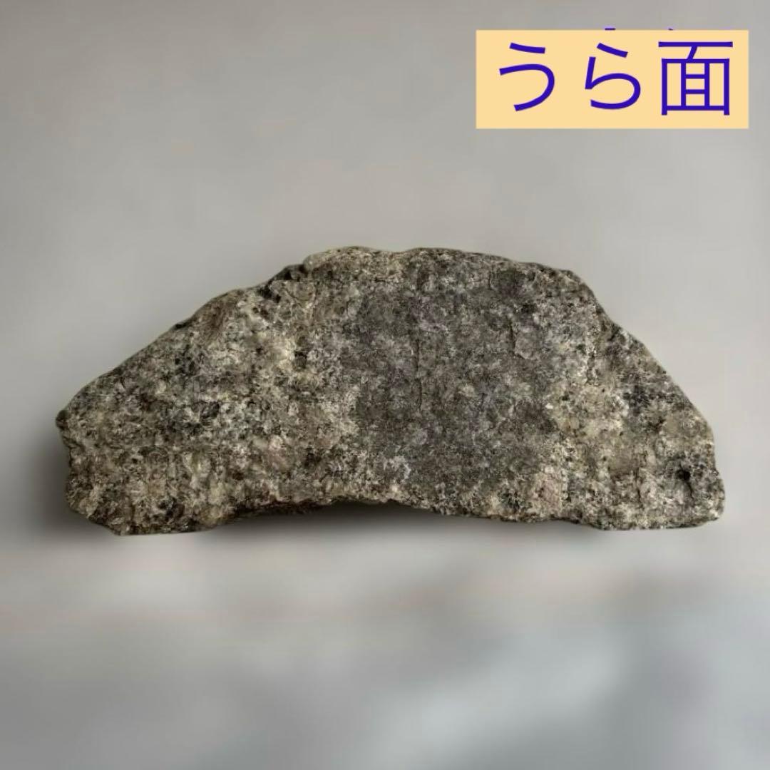 【極希少】猿投山の菊花石　約203g 天然記念物　水石　鑑賞石　菊石　鉱物