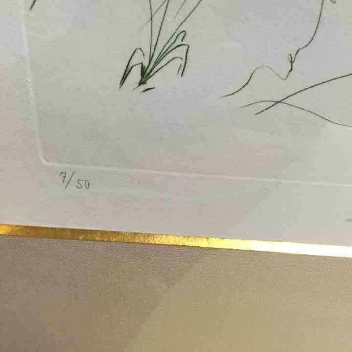 ダリ エッチング  「ひきだしの女」