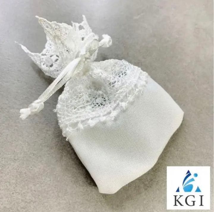 宇宙の流れ星の粉 ✨✨✨✨ レースホワイトフェアリー　✨✨✨