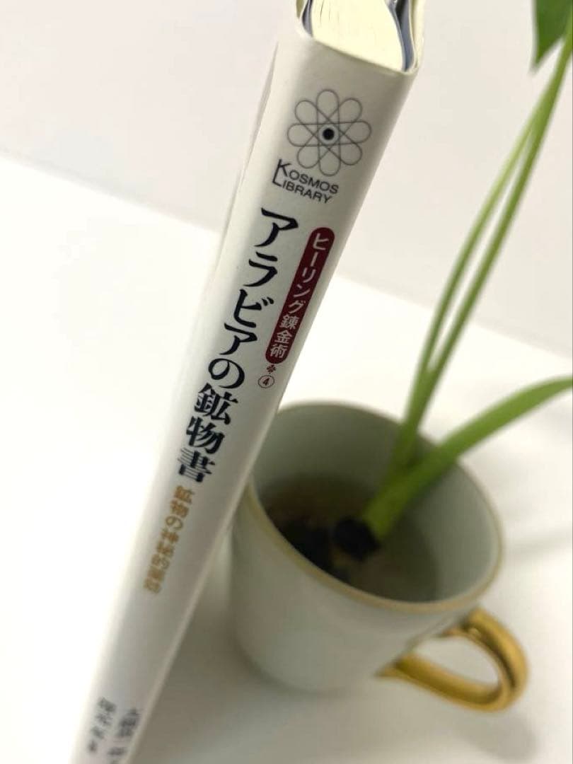 ［美品♡］ヒルデガルトの宝石論＆アラビアの鉱物書 2冊セット