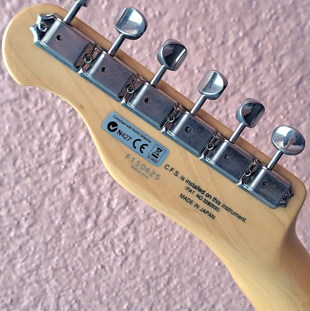 ■FUJIGEN NTL100 VNT TELECASTER テレキャスター