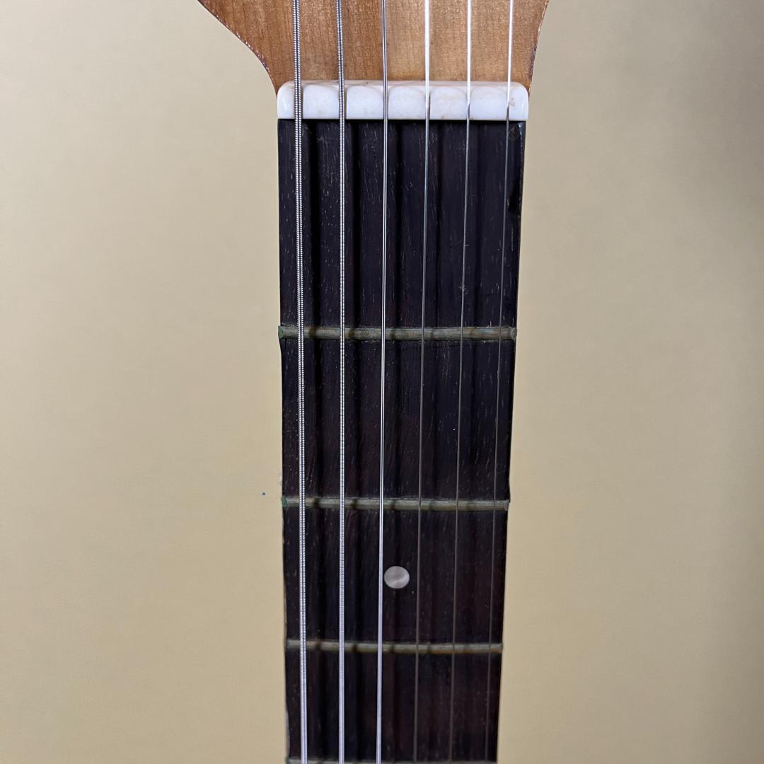 Tomson Splendor Series ムスタング コンペティションライン