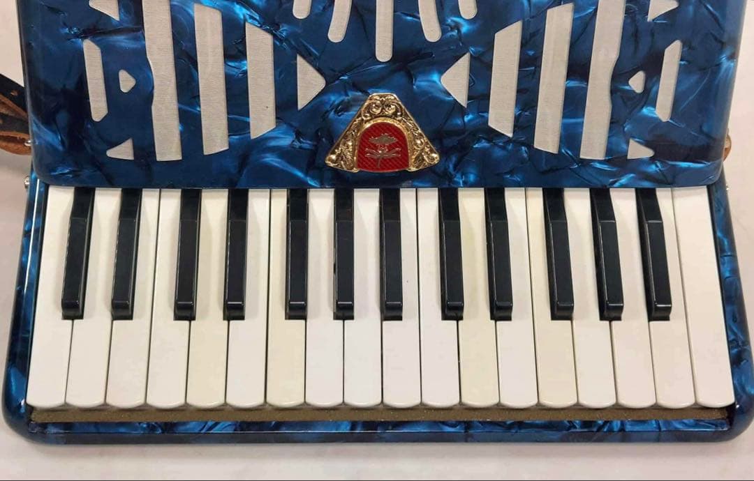 【訳あり品】TOMBO アコーディオン 30鍵盤 No.211 ハードケース付き