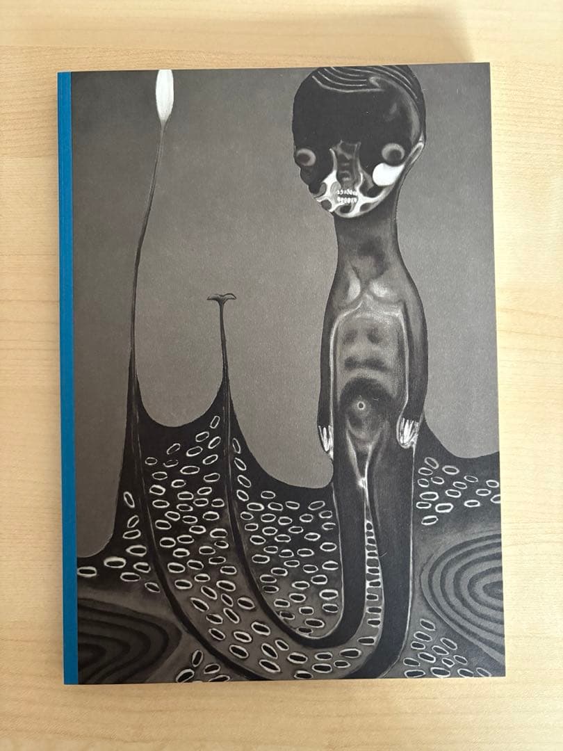 絵と彫刻 加藤泉作品集