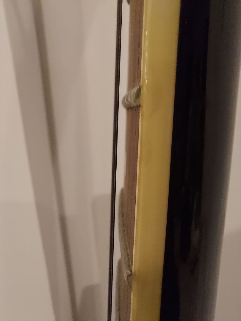 BLITZ by AriaProII Leopard レオパード