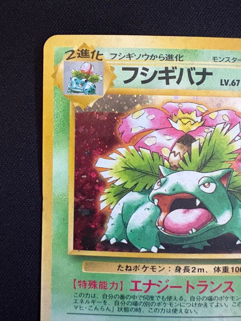 【全面ホロ】フシギバナ_「とりかえっこプリーズ」 キャンペーンカード PROMO