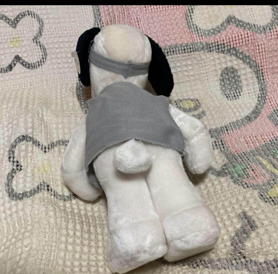 ファミリア　韓国　スヌーピー　Flashbeagle 中古品