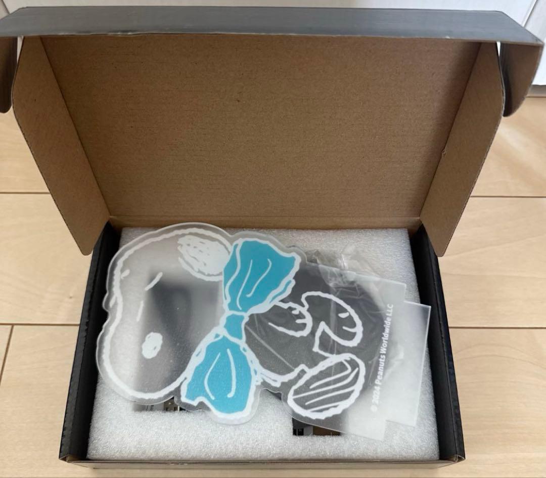 スヌーピー　大量まとめ売り　ブランケット、コスメボックス、保冷ボックス他　36点