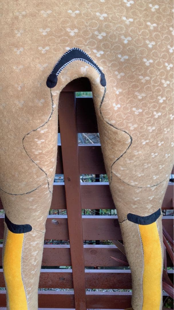 The Rim セミドライウエットスーツ ブラック/グリーン