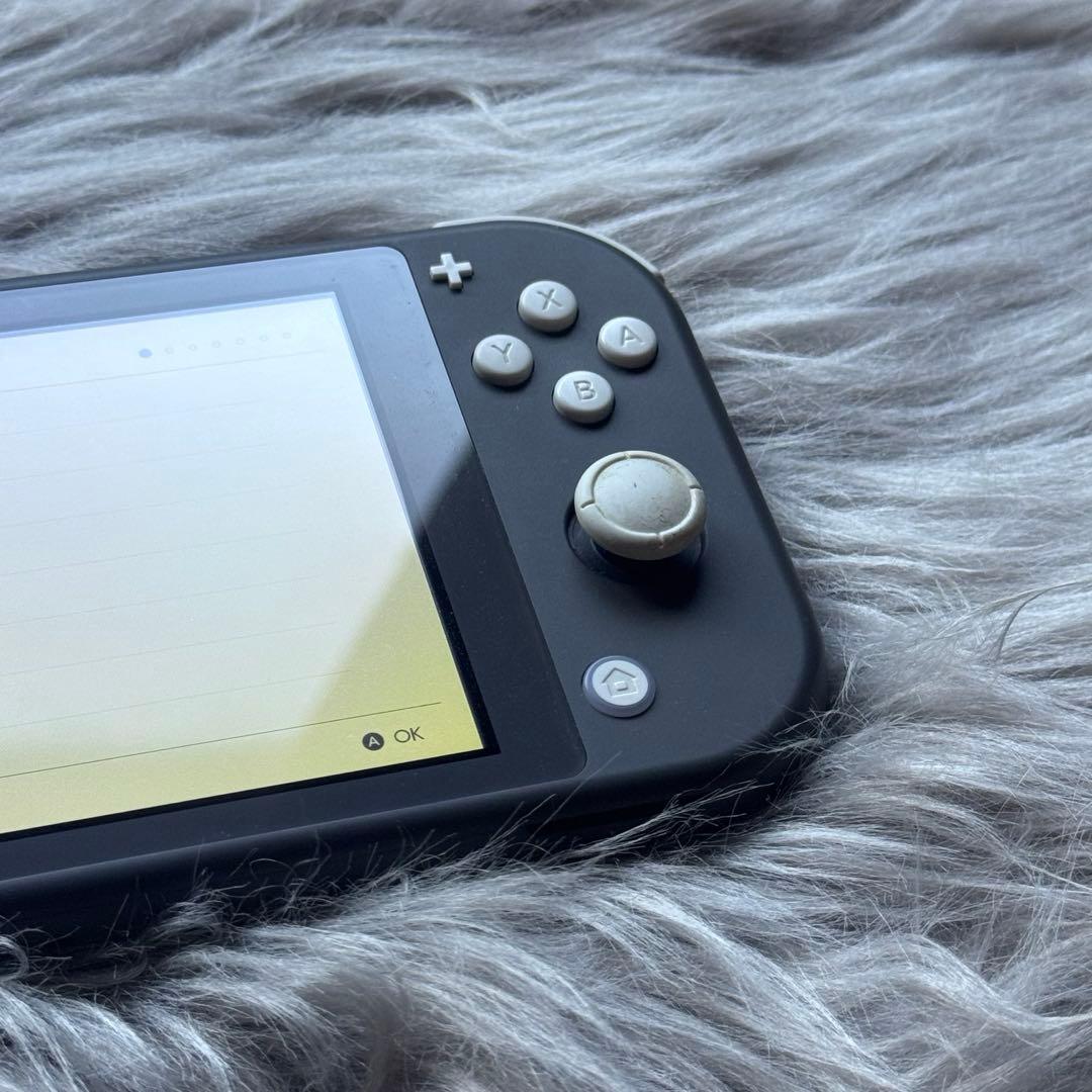 Nintendo Switch Lite 本体 グレー（※訳あり）