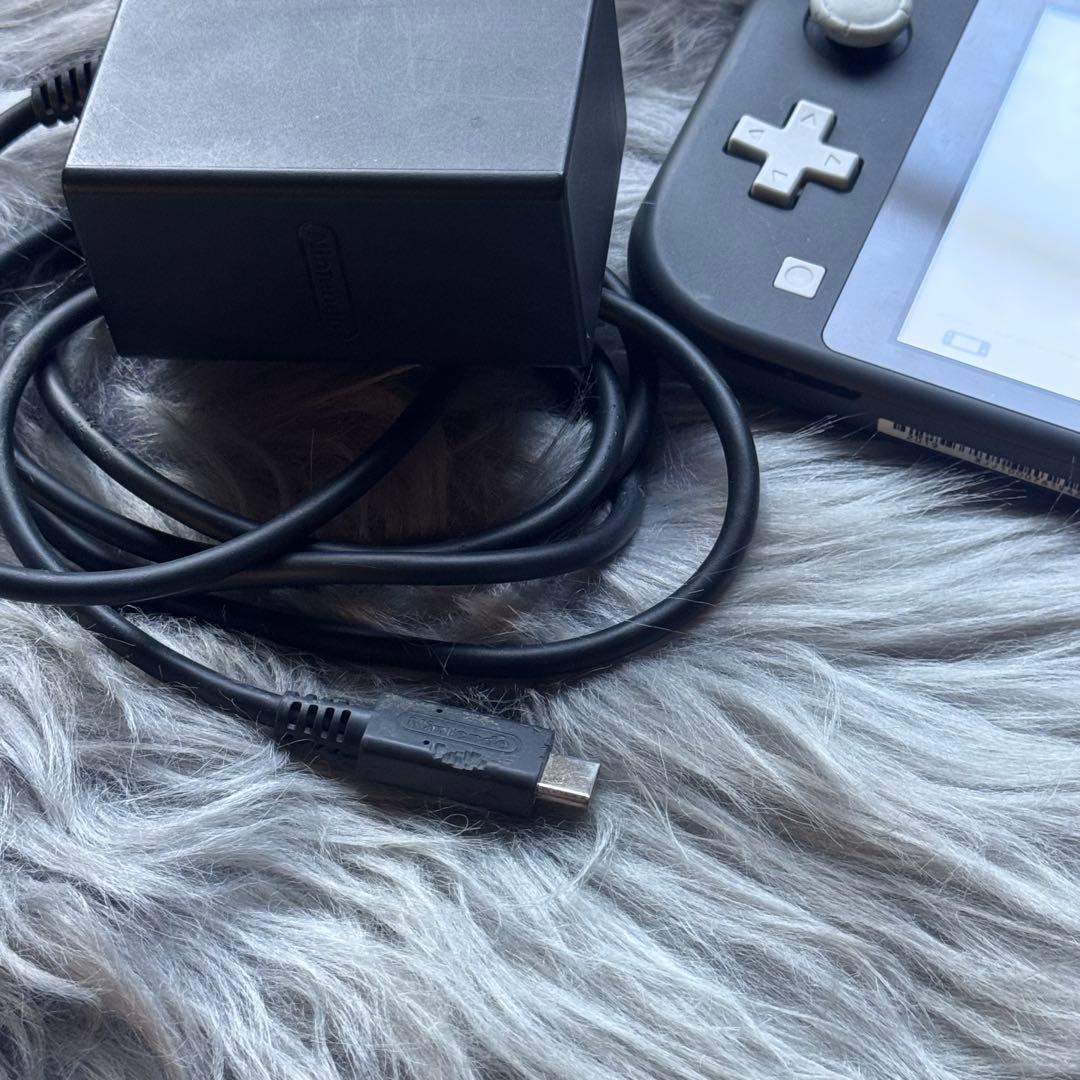 Nintendo Switch Lite 本体 グレー（※訳あり）