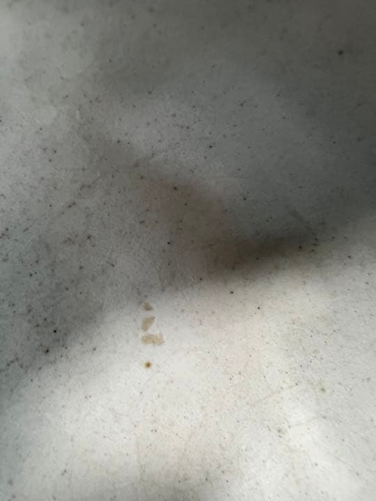 丹波立杭焼き 耳付き小鉢 4個