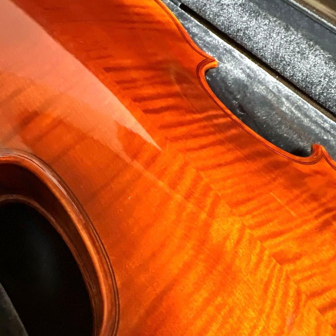 【美虎杢】Carlo giordano VS-2 1/2 バイオリン　弦楽器