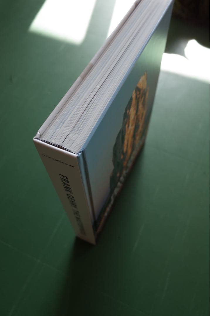 アート・デザイン・音楽 FRANK GEHRY: THE MASTERPIECES