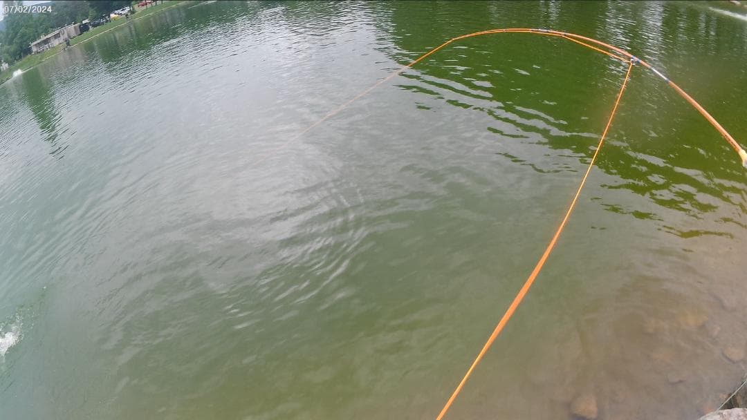 バンブーフライロッド ６フィート　＃３／＃４　Standard