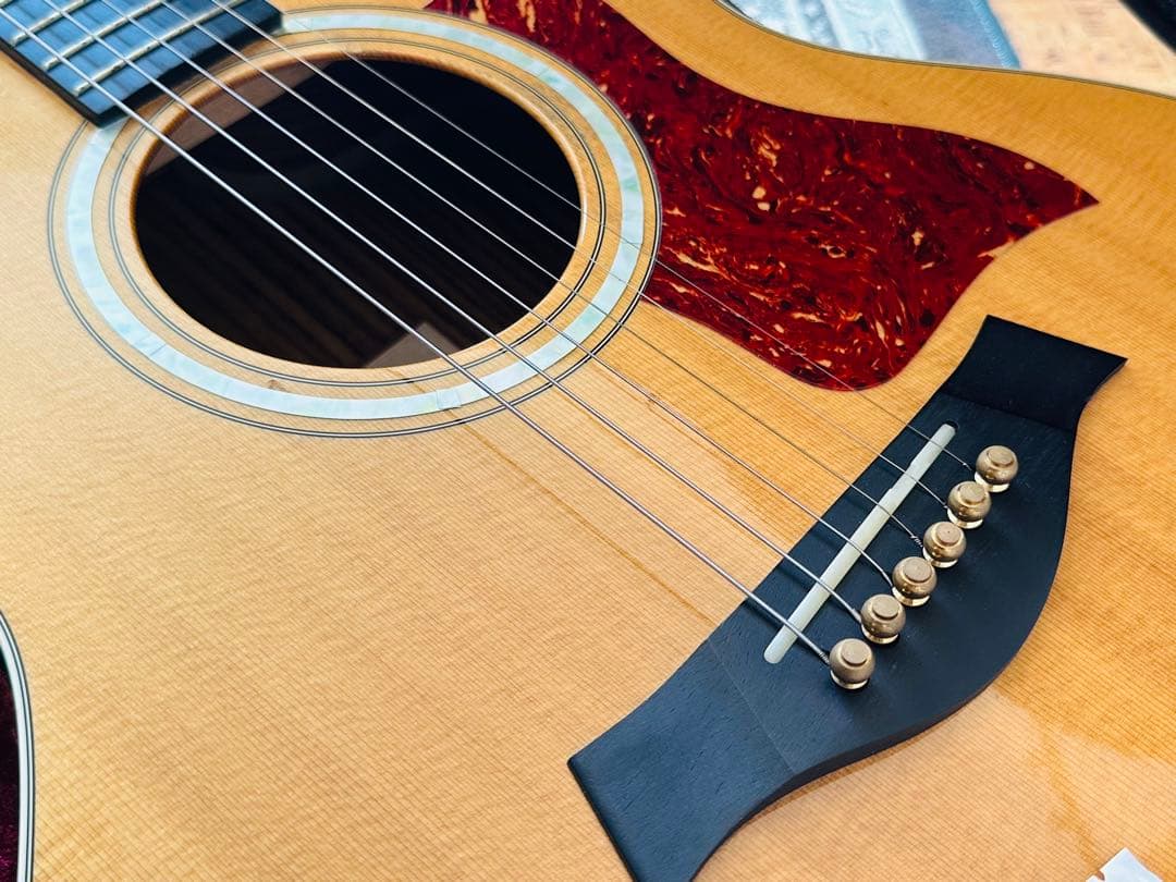 Taylor 214ce Fall-LTD エレアコ