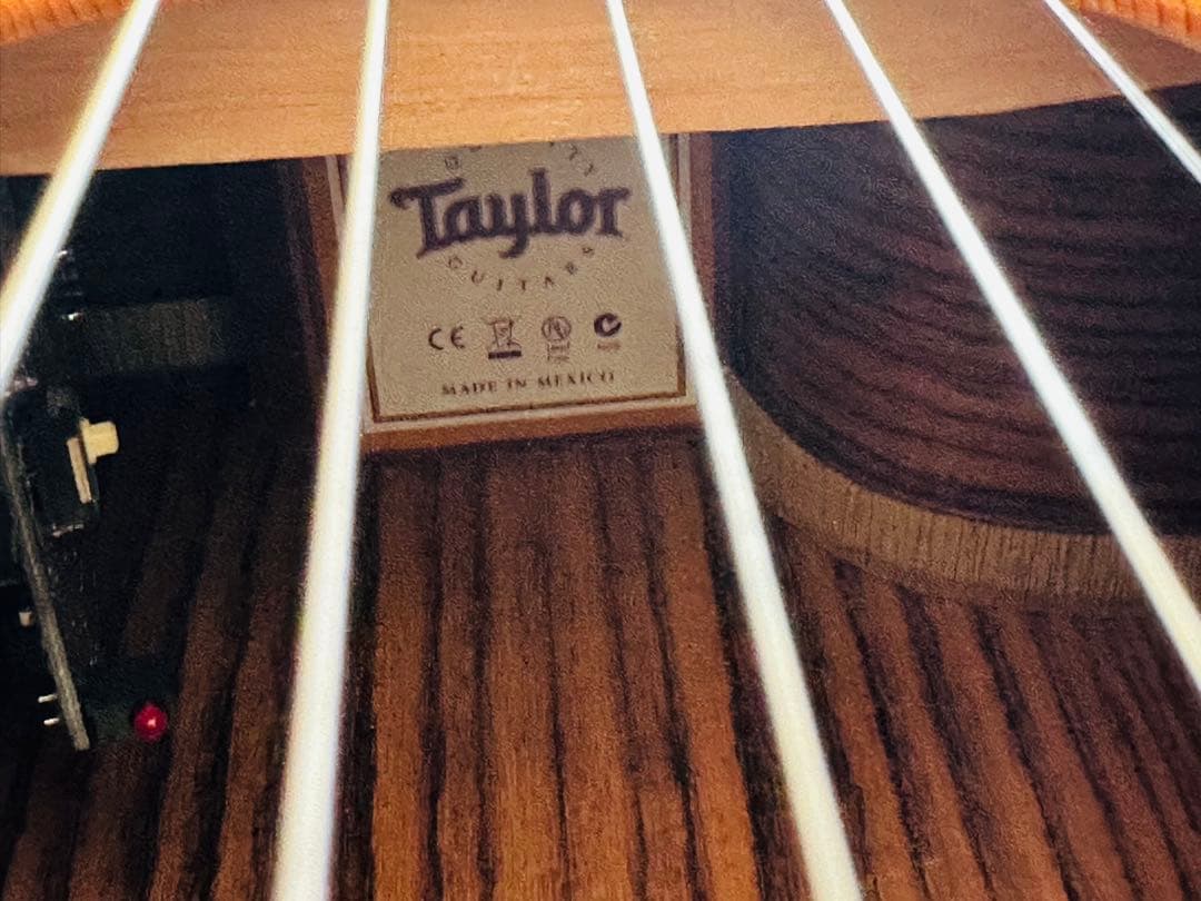 Taylor 214ce Fall-LTD エレアコ