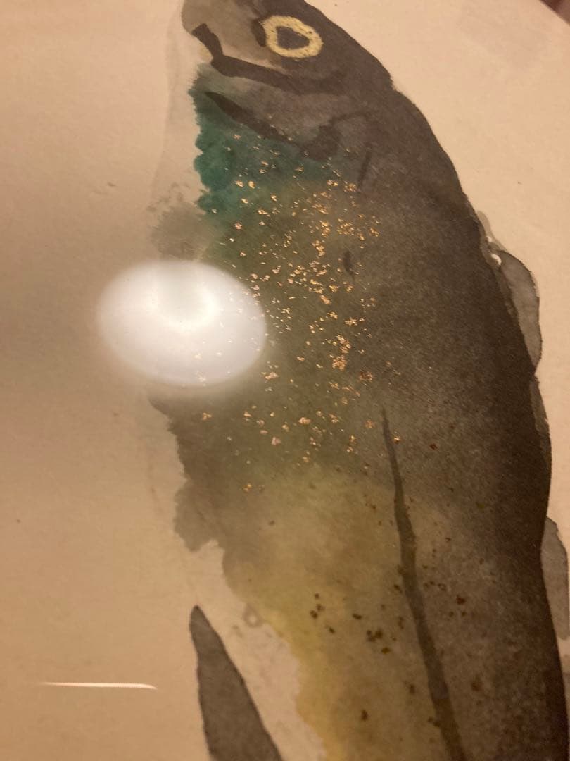 【真作】片岡鶴太郎 水彩画 魚の絵 透明アクリルフレーム入