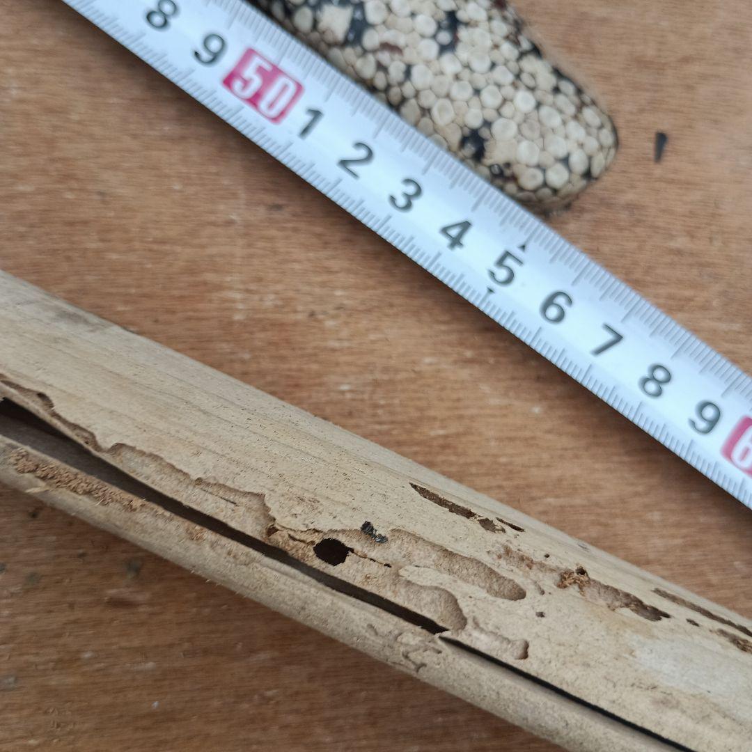 4072)刀の鞘　他部品　まとめて　鮫皮？