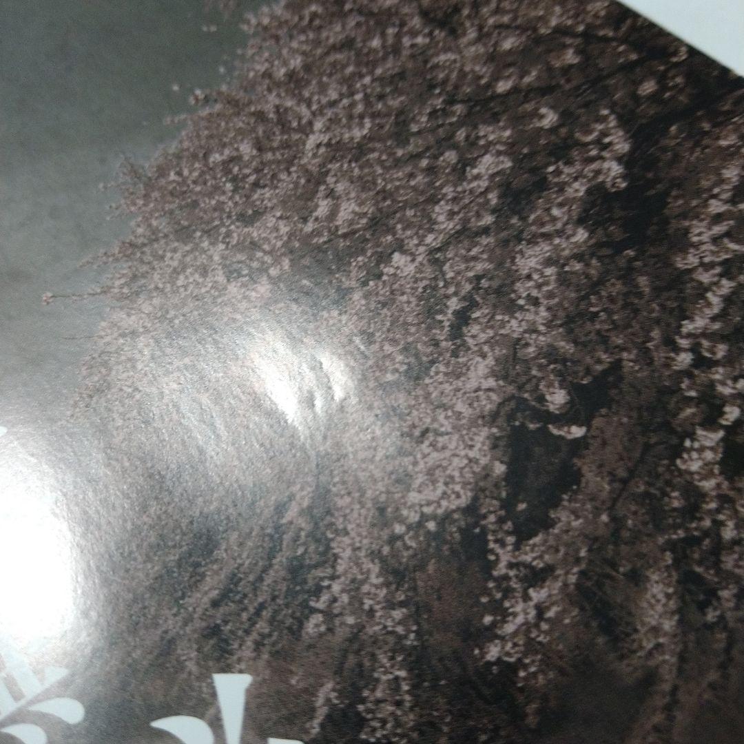 渡瀬悠宇 ふしぎ遊戯 パーフェクトワールド vol.14 付録つき