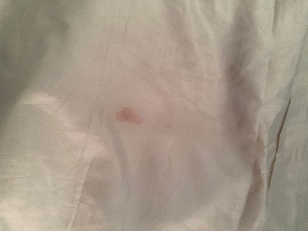 【千葉引取限定】ロゴス neos PANELスクリーンドゥーブルXL 2ルーム