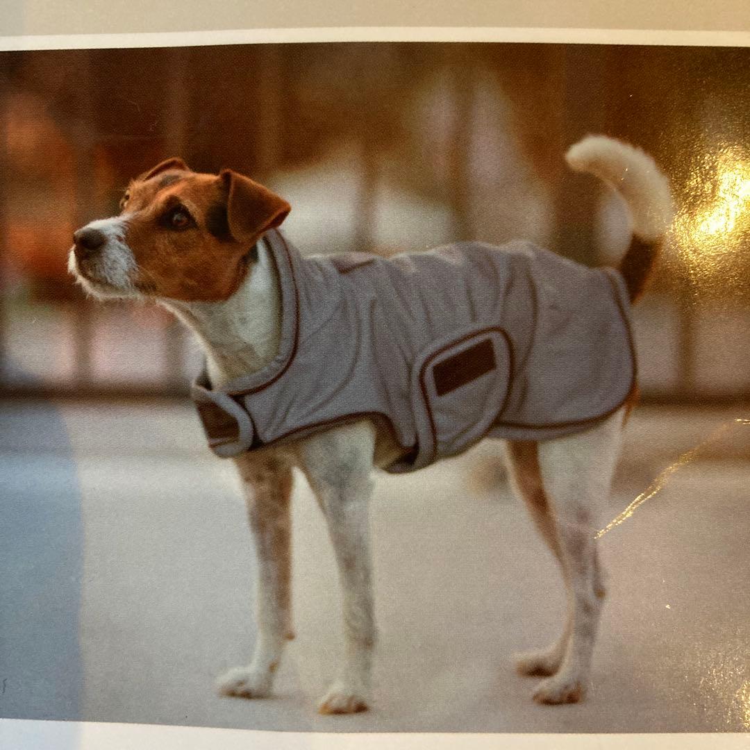 Kentucky ドッグコート