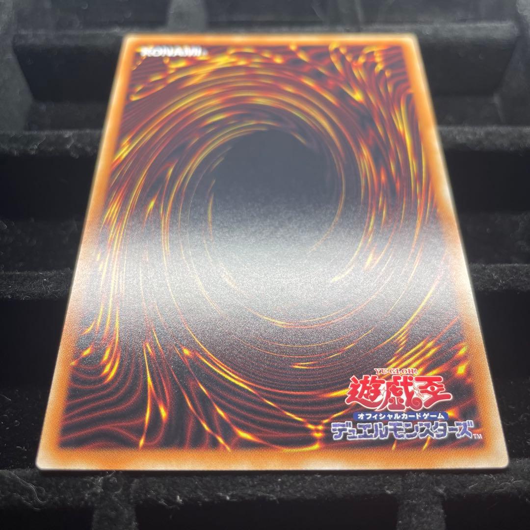 【美品】万物創世龍 10000シク IGAS-JP000