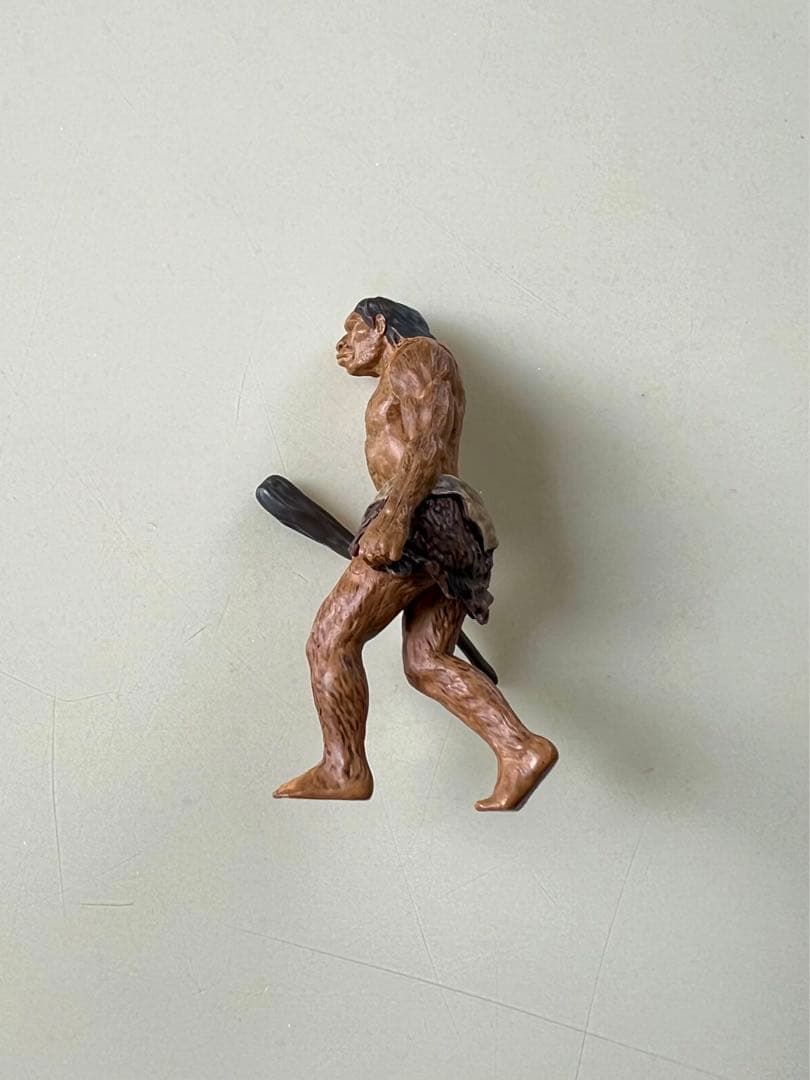 最終値下げ‼️【Schleich & PAPO】シュライヒ&パポ社 恐竜 9点+1