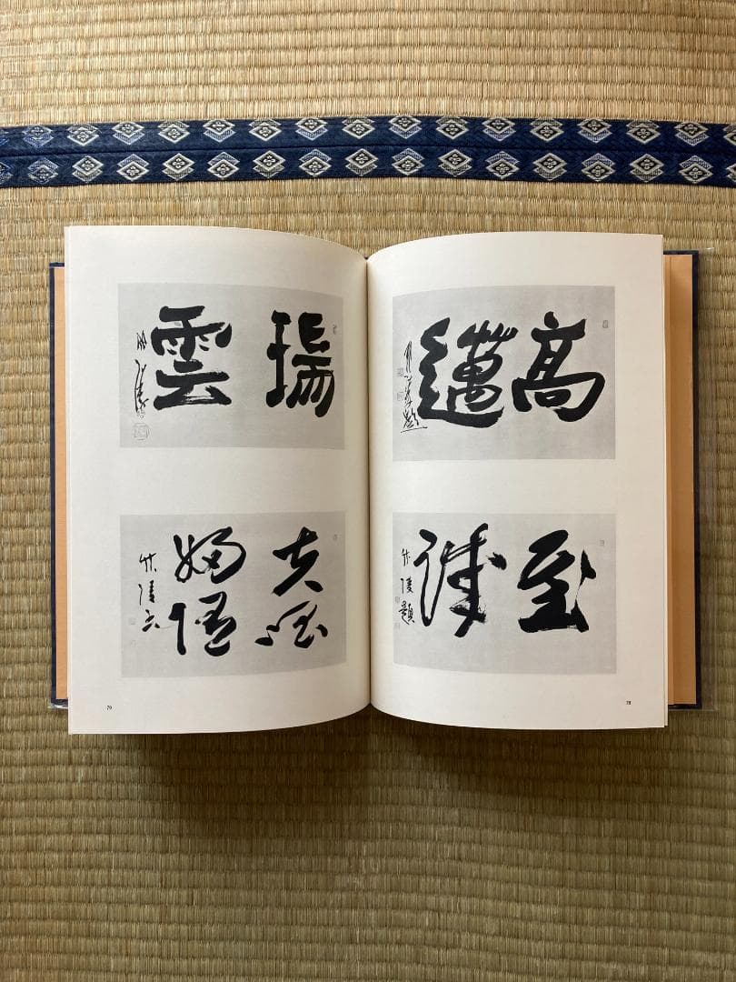 丸山敏雄全集全３０冊の後半（１５巻から２５巻、別巻１から４）