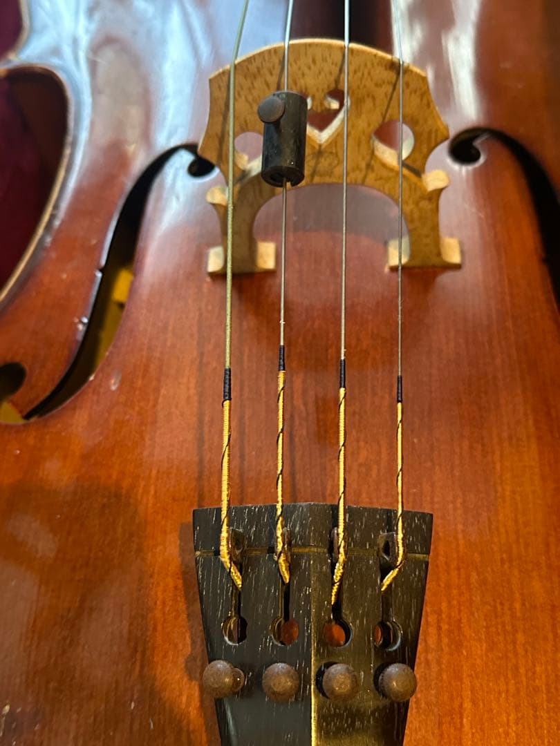 Paul Gerhard Schmidt Engleman チェロ