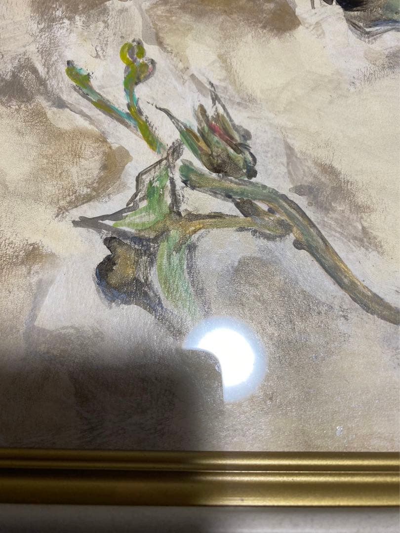 杉山寧 「朝顔」 額 箱有 絵画 日本画 引取品