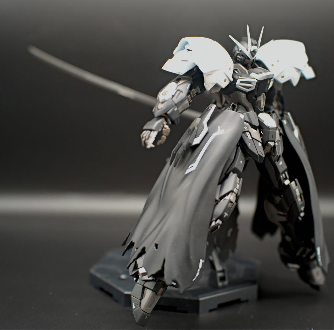 【改造 全塗装】MGEXストライクフリーダム セフィロス&ロクサス イメージ