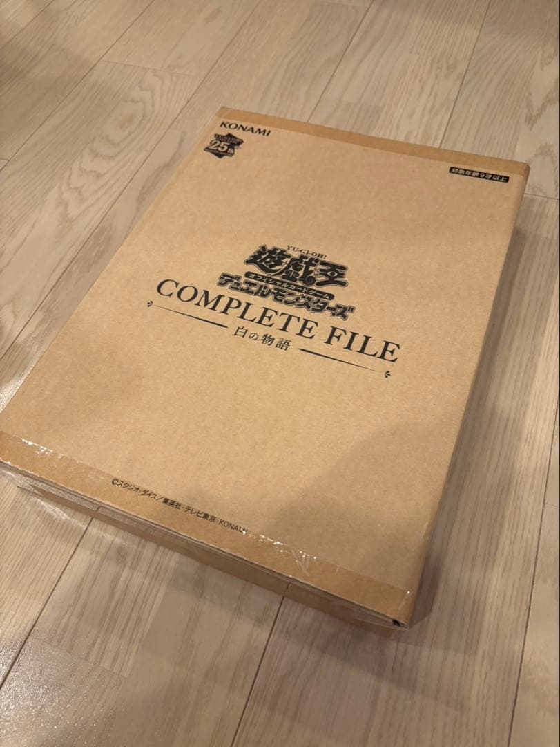 遊戯王 デュエルモンスターズ COMPLETE FILE －白の物語