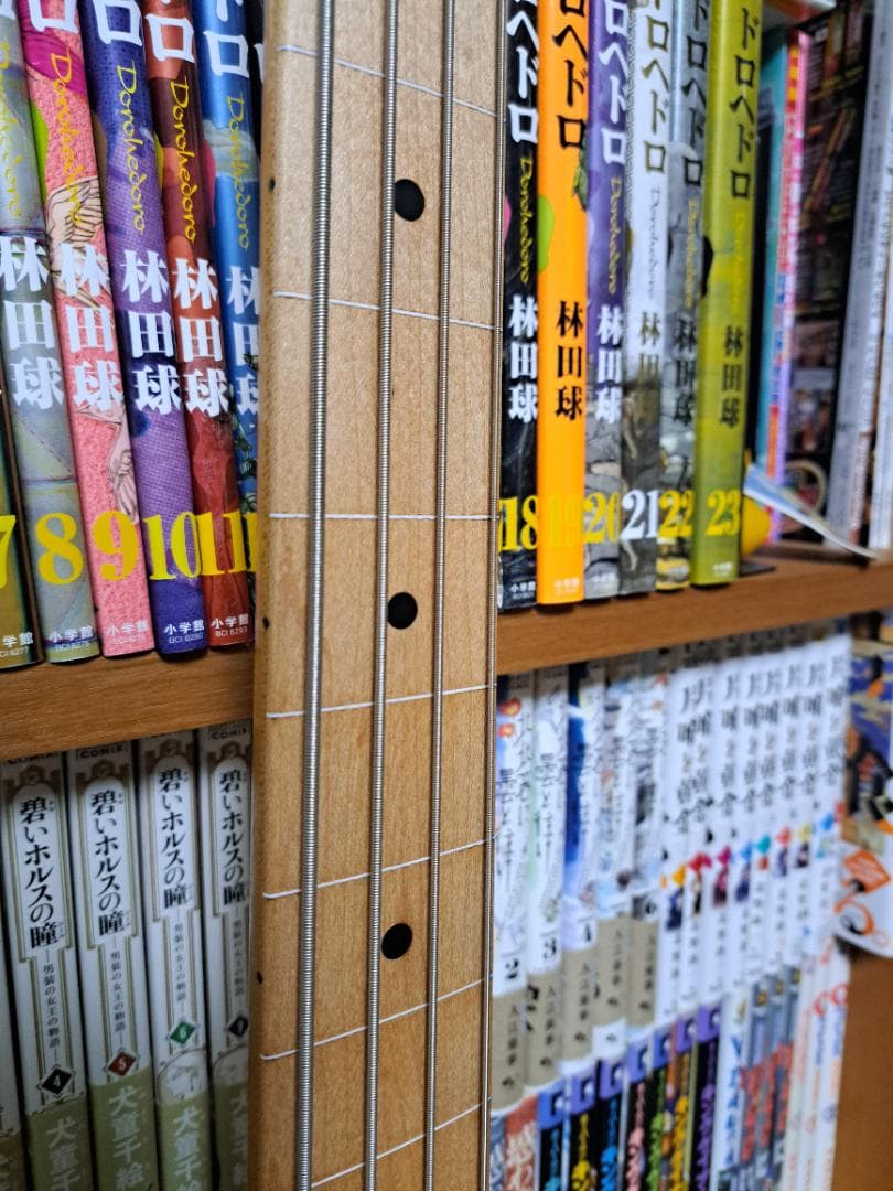 WESTMINSTER　プレベタイプ　フレットレス