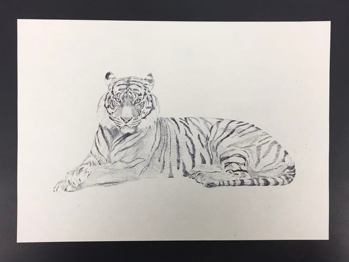 干支　前半　イラスト　6枚