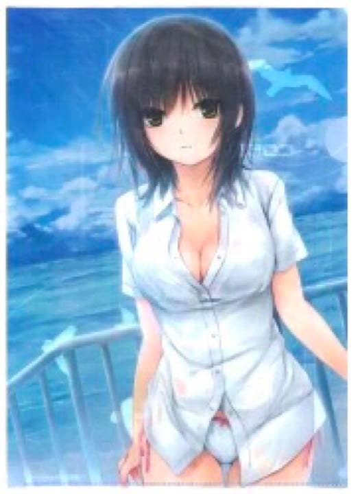 クリアファイル 珈琲貴族