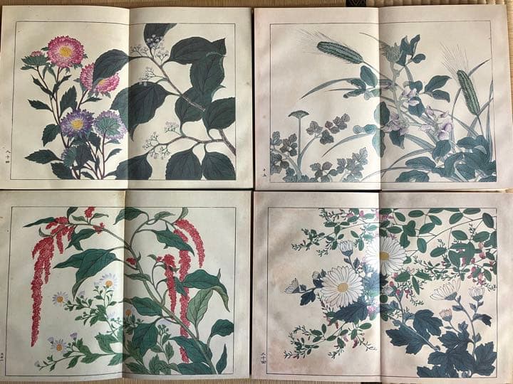 四季の花　復刻版　全10冊　はなてちょう4冊付