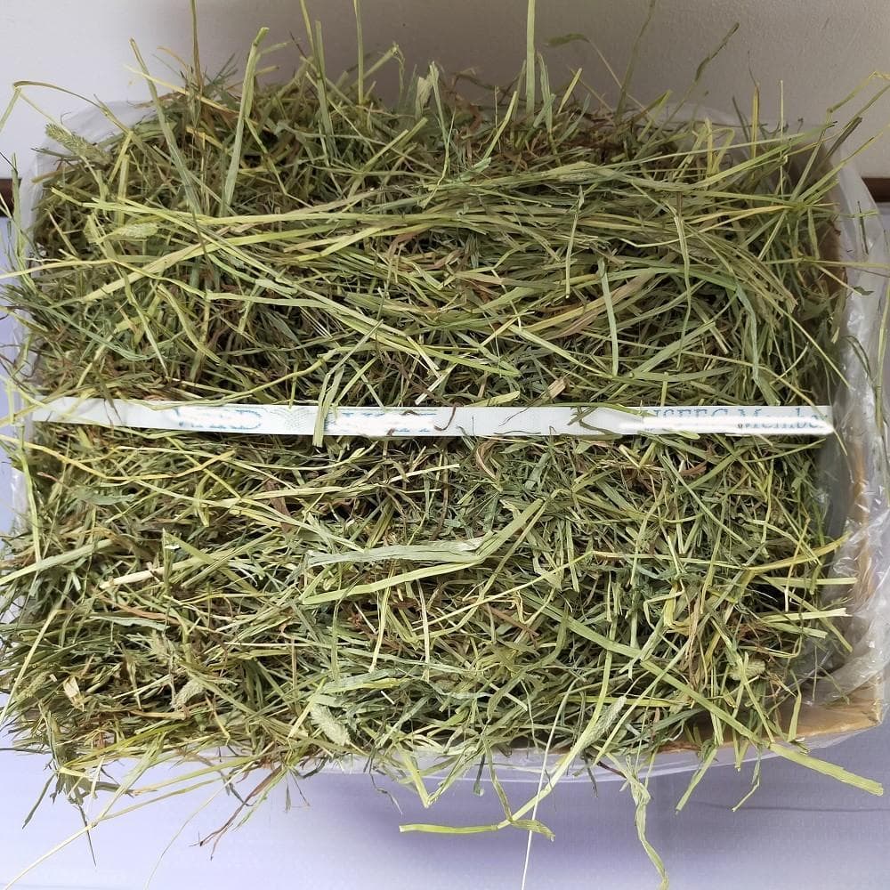 US産 チモシー 120kg ２番刈り ソフトスーパープレミアム