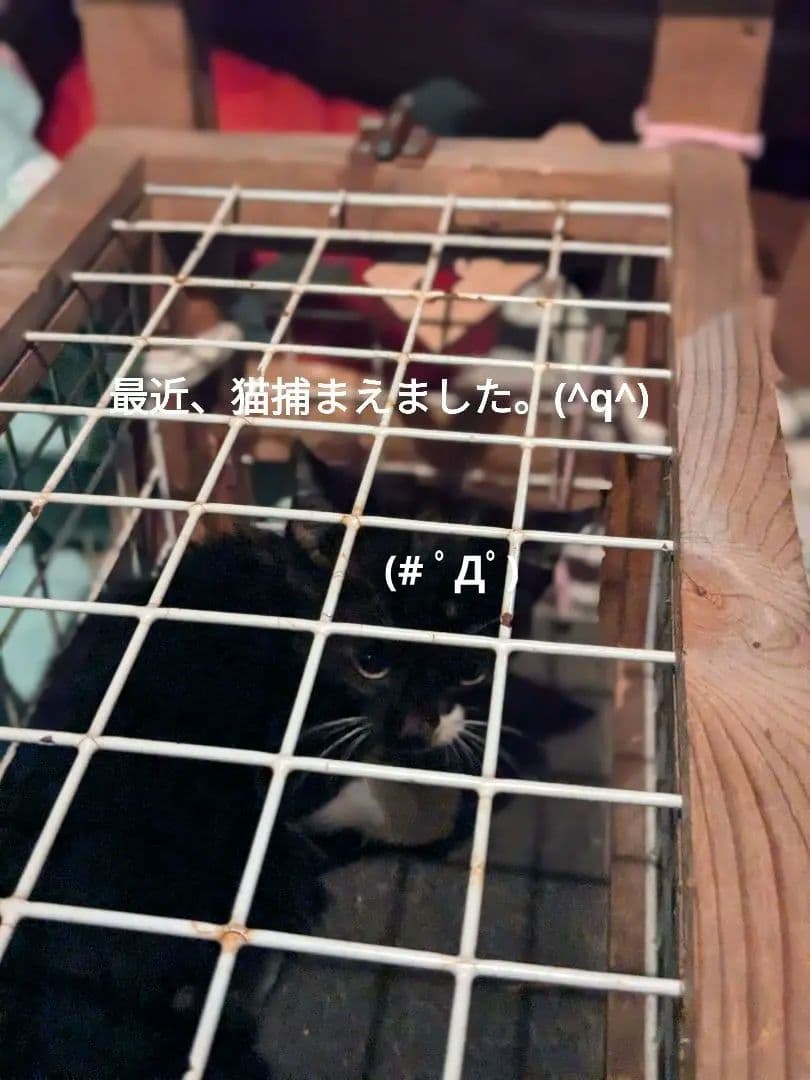 【マジモノ…】動物の〇ちゃんを素材としたプラクルアン？呪物？すごい金運＆幸運…