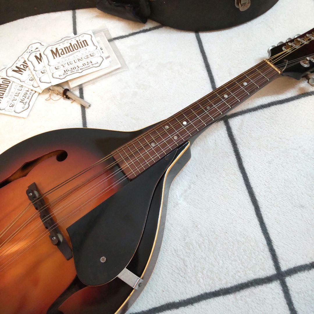 JUMBO 田原楽器　TAHARA　フラットマンドリン　弦楽器 ジャンボ