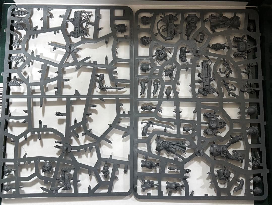 ウォーハンマー　エンペラーズ・チルドレン　ノイズマリーン　12体分