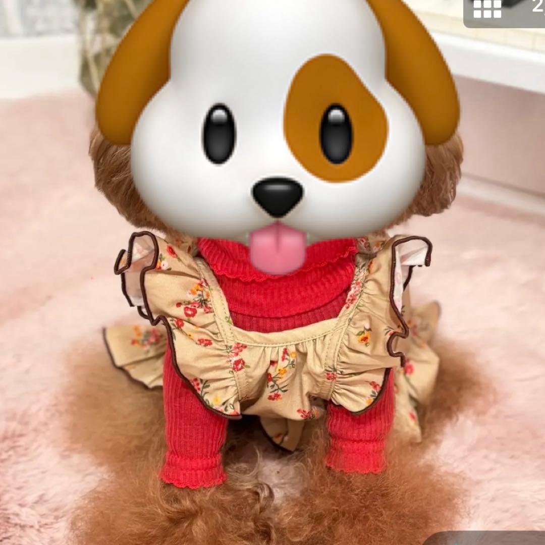 アトリエgg★キャミワンピ19ハーフ★初めてのデートワンピース