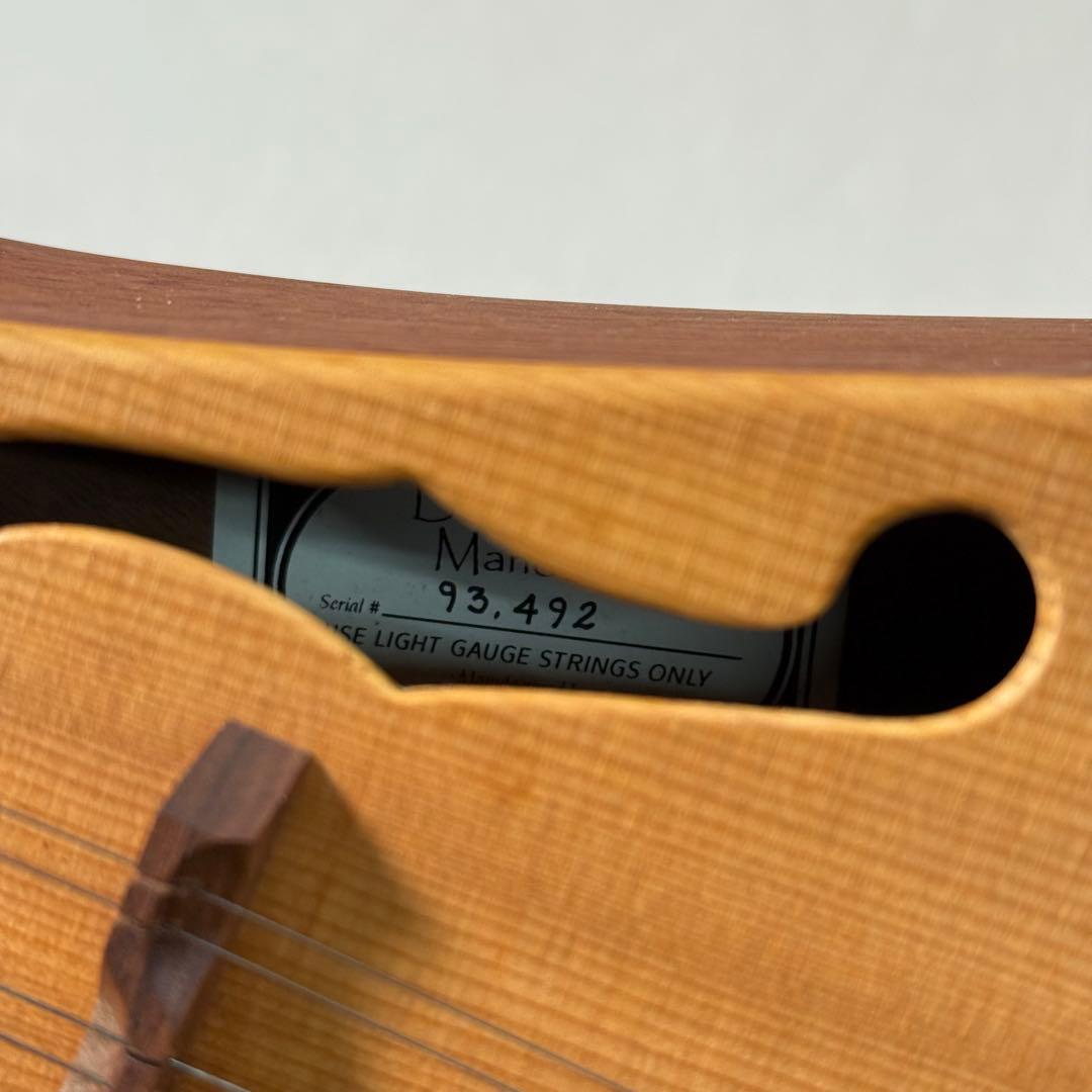 【超希少】Martin Backpacker マンドリン マーチン　ケース付き