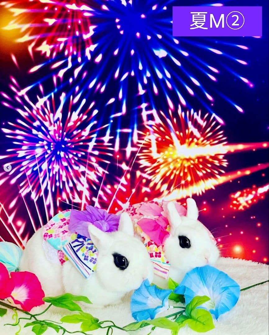 背景布×7+1　ペット撮影用フォトブース　トリミングチョーカー販売中　夏、秋、冬