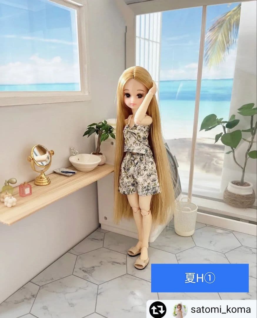 背景布×7+1　ペット撮影用フォトブース　トリミングチョーカー販売中　夏、秋、冬