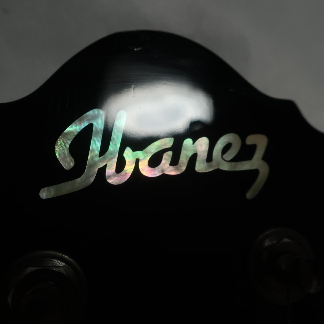 段 弦 Ibanez AEG450TK エレアコ ギター ストラップ＆ケース付