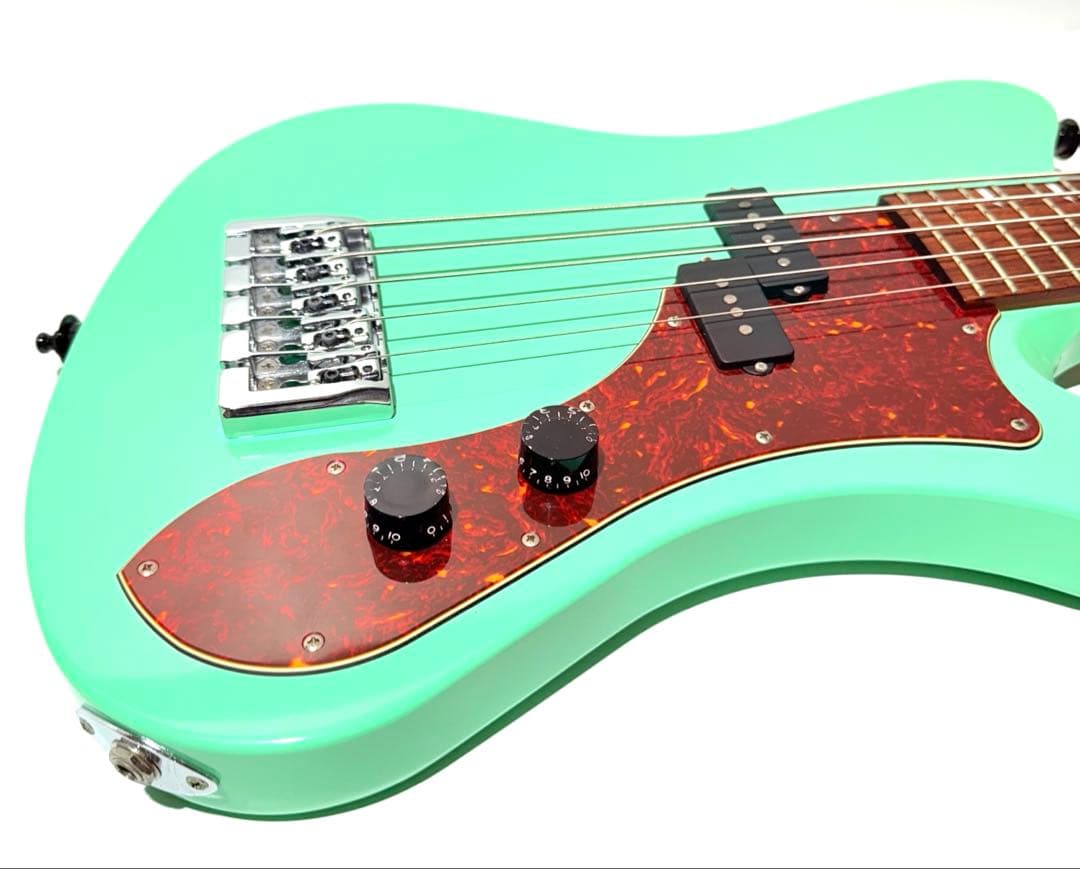 【入手困難品】Ryoga SKATER A-501 SP 5弦ベース